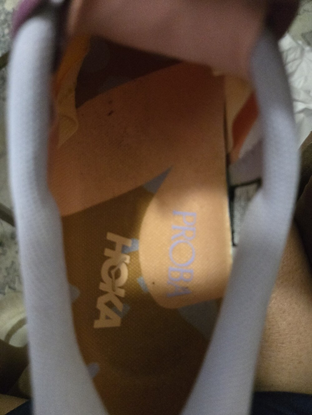 HOKA x Studio Proba Speedgoat 6 (Women's 10 / Men's 9) Limited Edition - Picture 6 of 9